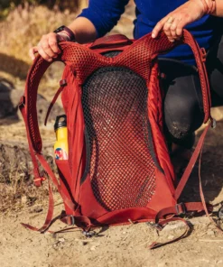 Gregory Arrio 24 Plus Bags