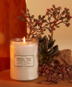 Parks Project Joshua Tree Desert Campfire Candle Home Page