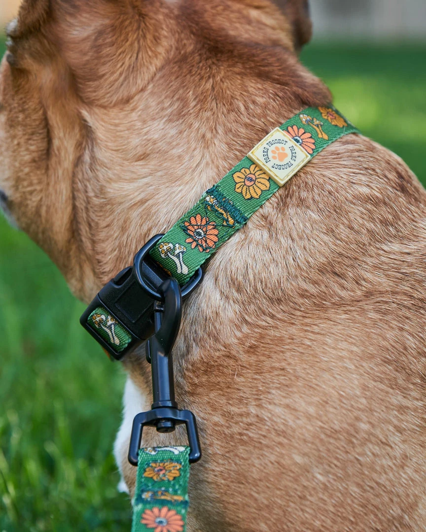 Parks Project Home Page Power To The Parks Shrooms Dog Collar