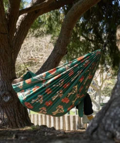 Parks Project Shrooms Two Person Hammock Camping Gear