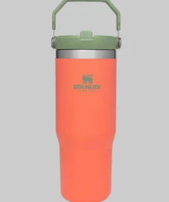Stanley Iceflow Flipstraw Tumbler | 30 OZ Camping Gear