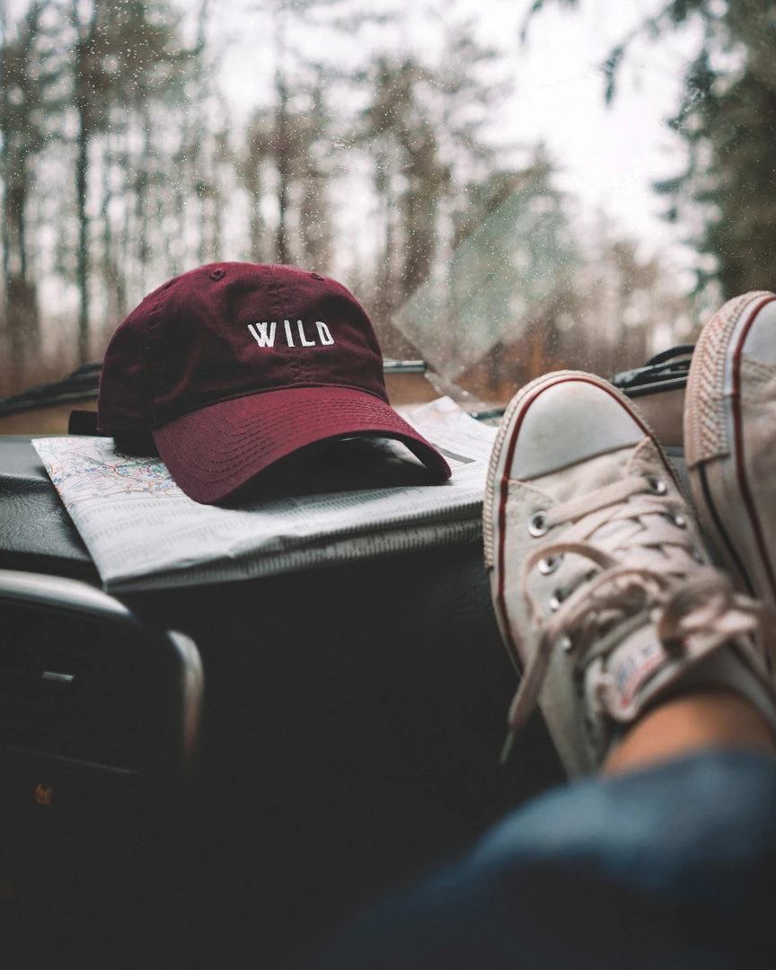 Wondery. Wondery Wild Dad Hat